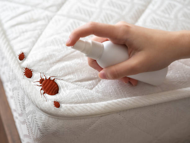 Real Estate Pest Inspections in Gholson, TX